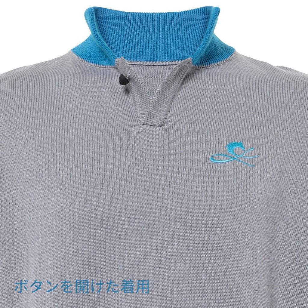 FER A CHEVAL（青）