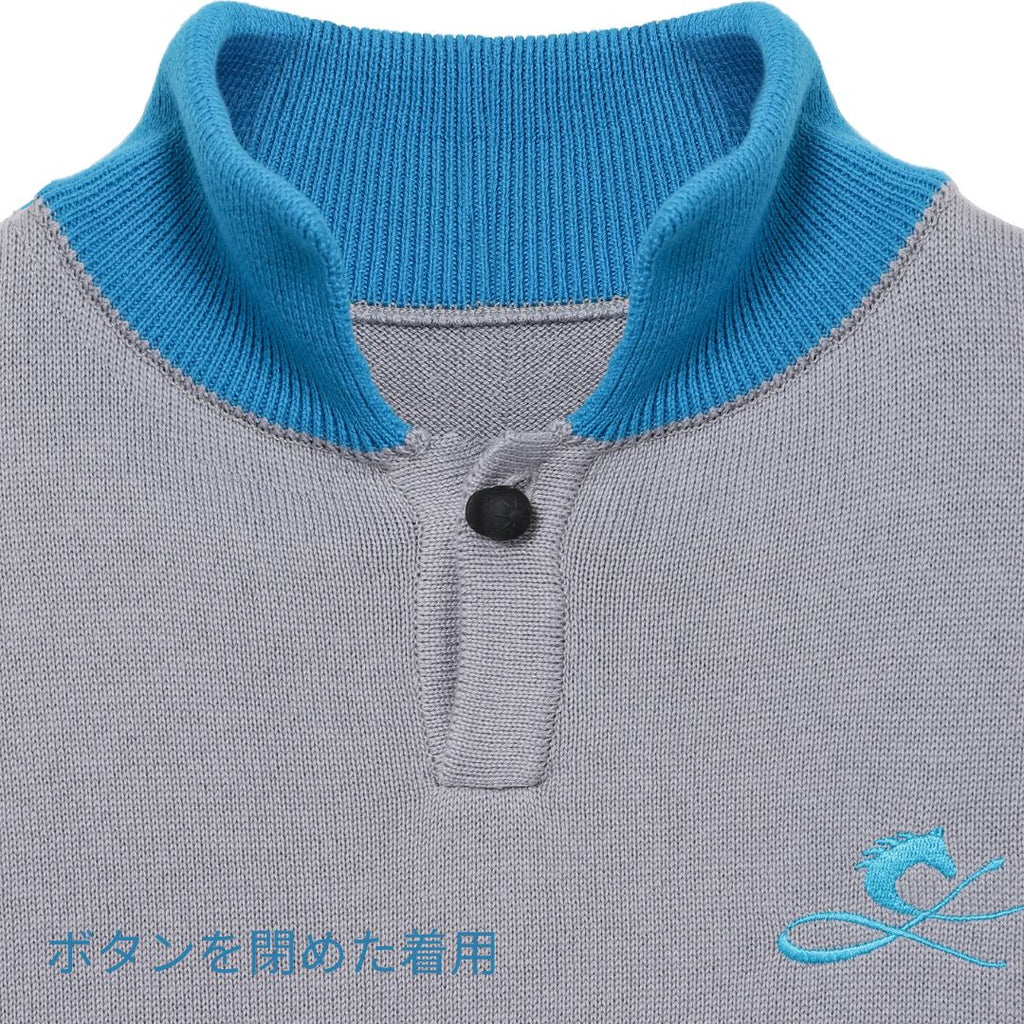 FER A CHEVAL（青）