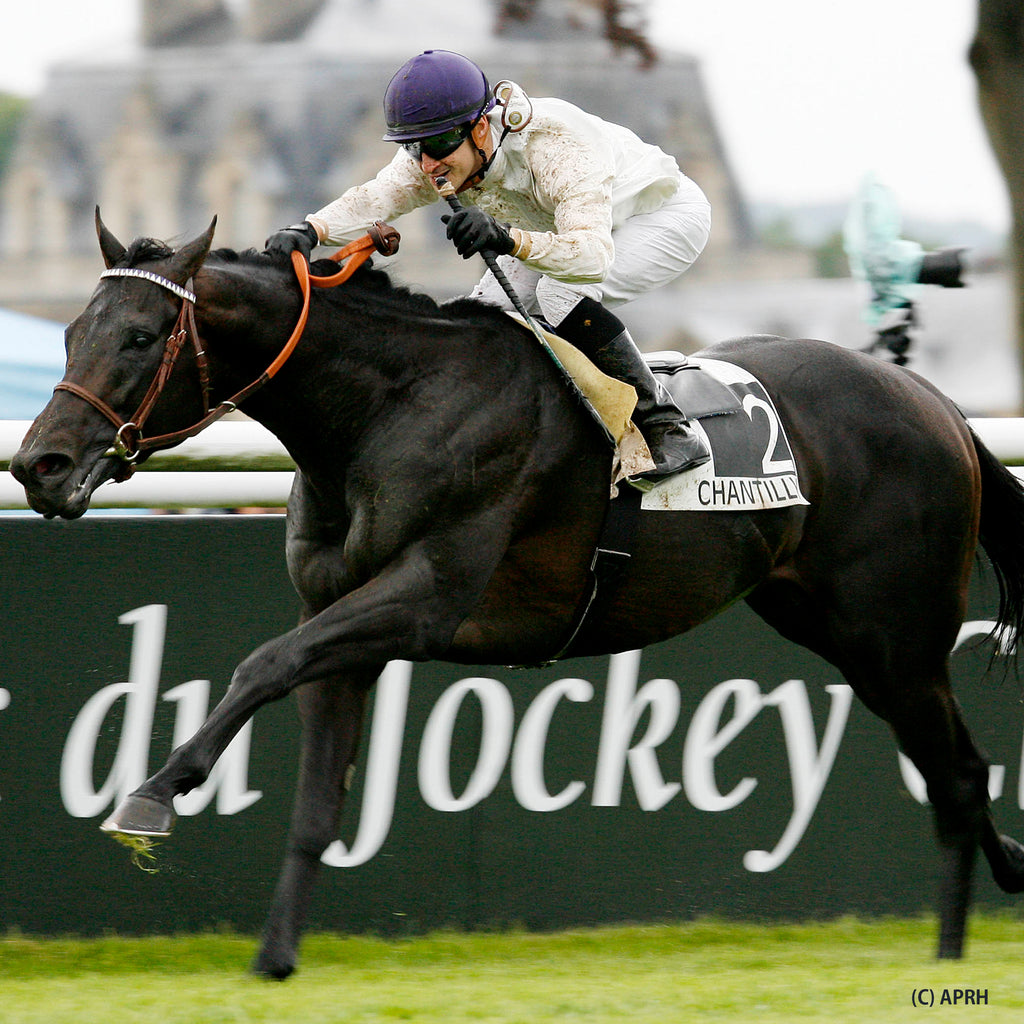 FRENCH DERBY